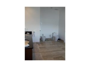 Trump Toilet