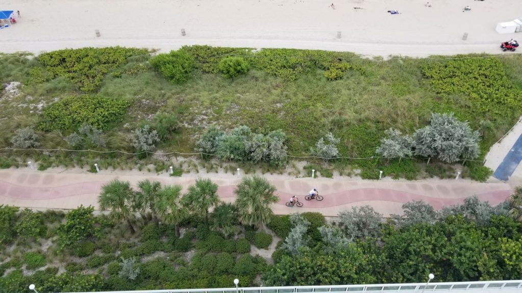 Miami Beach Condos for Sale